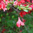 직업상담사 필기 - 직업상담학 이미지