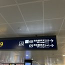 푸동 티스토리