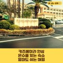 프리모 | 더 시에나 프리모 제주 키즈룸 선택 후기, 힐링 여행