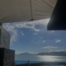 온실속베니 이미지