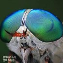 명태나라 - 익산시 금마길 63 | 명태나라