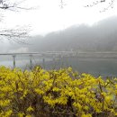 로하스 해피로드 이미지