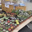 마석5일장 | 마석5일장 다녀온 후기｜사람 냄새 가득한 전통시장, 구경만 해도 시간 순삭