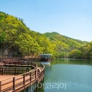 지천생태길 이미지