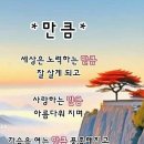 맑은사람들 이미지