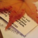 보명한의원 이미지