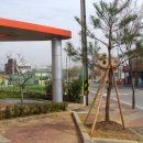 보훈목장 Daum카페