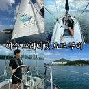 아그리나 B | 여수 요트투어 아그리나 후기, 웅천 이순신 마리나에서 즐기는 낭만 바다 여행