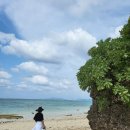 드림메드 | 이시가키 클럽메드 카비라 스노쿨링 후기