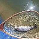 말고개낚시터 이미지