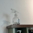 수원-0364 | 용인사진관 인물사진 전문 231사진관 증명사진 후기