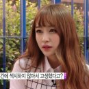 하니솔