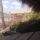 로터스팜 이미지