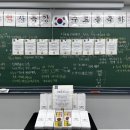 문학으로 배우는 세계사 | 겨울방학 사회탐구(역사/사회)] 26년도 한국사/세계사/통합사회 특강 - 더수학과학학원 (수원/영통/망포)