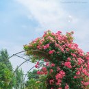 미니스톱 한강양화2점 이미지