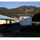 우이도 풍성사구(모래언덕) 이미지