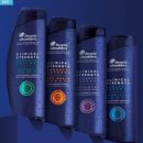 삼가가축병원 | 지루성피부염으로 고민하고 있다면? 지루성피부염 원인/증상/진단/치료에 대해 알아보자!