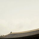 인터넷제국 | 덕수궁 안내 및 관람 후기 - 대한제국 황궁의 시간 속을 걷다