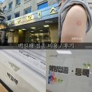 서초구보건소 | 임산부 백일해 접종기간 후기 통증 비용 서초구 보건소 준비서류
