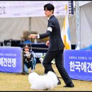 라운지펫 네이버블로그