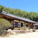 사성교육주