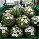 아동1통 경로당 이미지