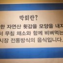 청주막회.아저씨막회 이미지