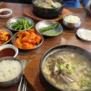 고집센그집갈비탕 울산천상점 | 울산 병영 점심때는 이 집 만한 데가 없더라 고집센 그집 갈비탕 울산병영점