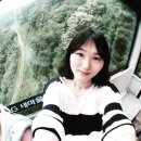 페도라팬션 이미지