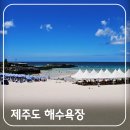 삼양인력 | 제주도 해수욕장 개장일과 편의용품(평상/파라솔) 이용요금 & 함덕해수욕장 펫비치(반려견 동반 해변)