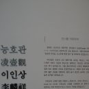 소나무둥지 이미지