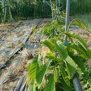 별샘농장 이미지