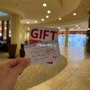 엘리트약국 | 숙소 추천 | 쉐라톤 와이키키 다이아몬드 헤드 뷰 메리어트 포숙 후기(업그레이드 꿀팁/룸컨디션/최저가)