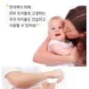 100% 천연 여수 동백오일, 에센스오일, 수분크림 (연예인 스킨케어, 미백, 주름개선, 피부미용) 이미지