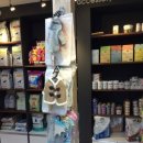 파스텔LC동물병원 이미지