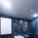 살구골현대 이미지