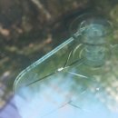 부산글라스텍 이미지