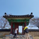 신동엽길펜션 | 20190413 부여 1박 2일