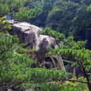 대왕바우 이미지