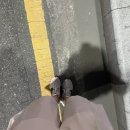 세상조은마켓 이미지