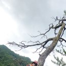 복계산정복전~^^~한컷 이미지