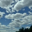 1271 | 2025.Ep.1271. 토론토에서 cne 가기, 비행기쇼