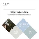 서초대로33길 84-5 이미지