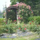 장미공원C 이미지