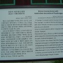 표충사 2 티스토리
