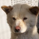 땡구