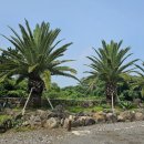 리버풀앤스파 이미지