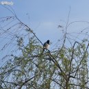 마마스 김밥카페 | ˖⁺‧₊˚2025년 4월 둘째 주 일상♡˚₊‧⁺˖