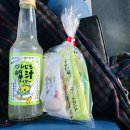 해안당 | 돗토리 여행 일정 | 사구·우라도메해안 버스투어 후기