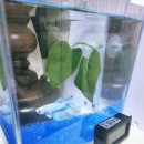 롯데쇼핑(주) 롯데마트 화명점 이미지